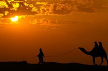 Silhouettes! Silhouettes!